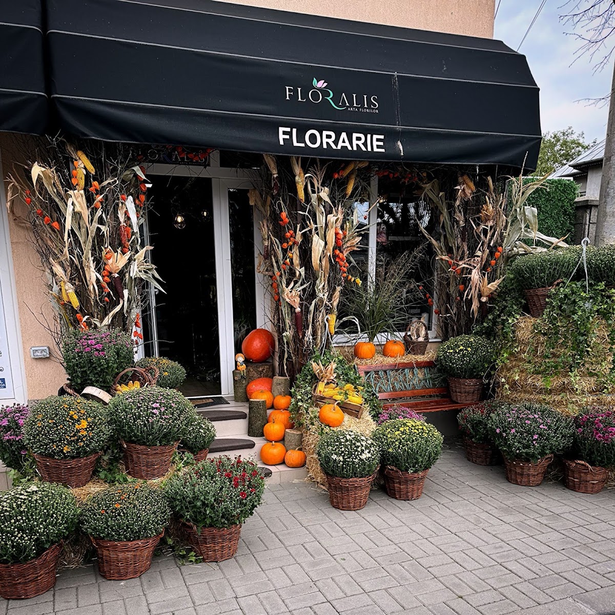 Floralis - Buchet elegant