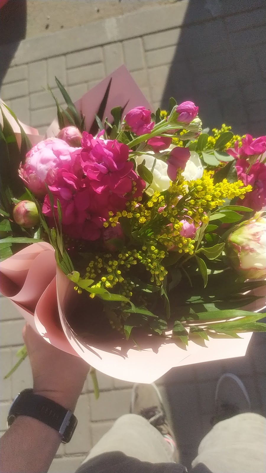 Floralis - Flori colorate